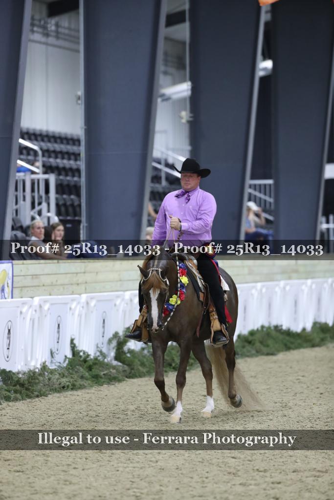 Proof 25R13_14033