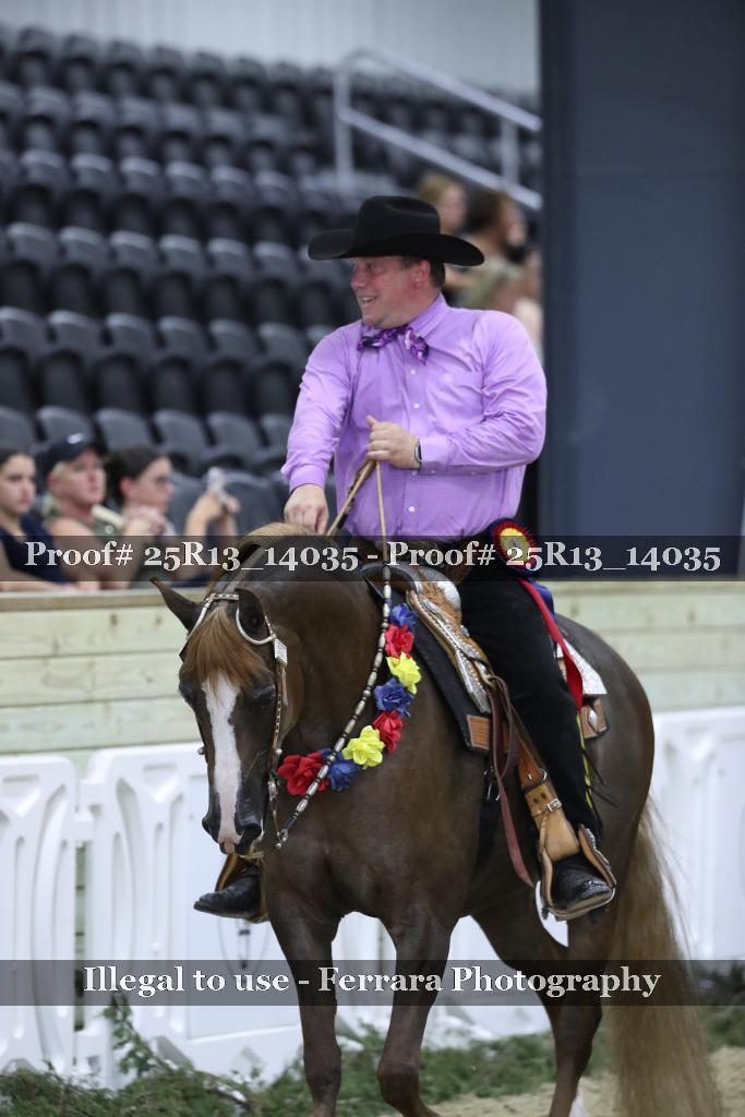 Proof 25R13_14035