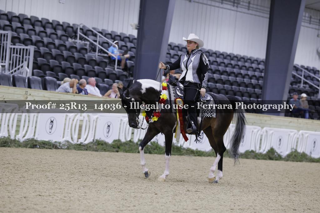 Proof 25R13_14036
