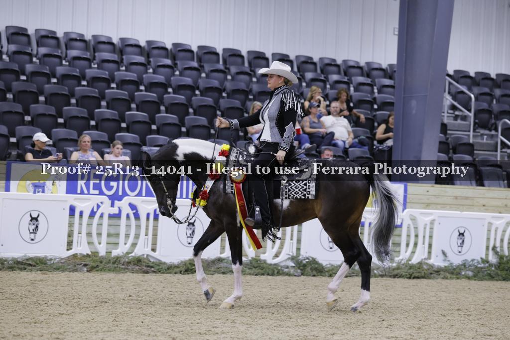 Proof 25R13_14041