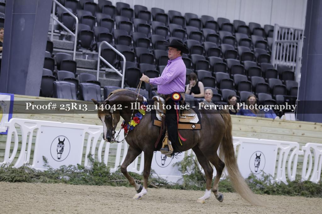 Proof 25R13_14042