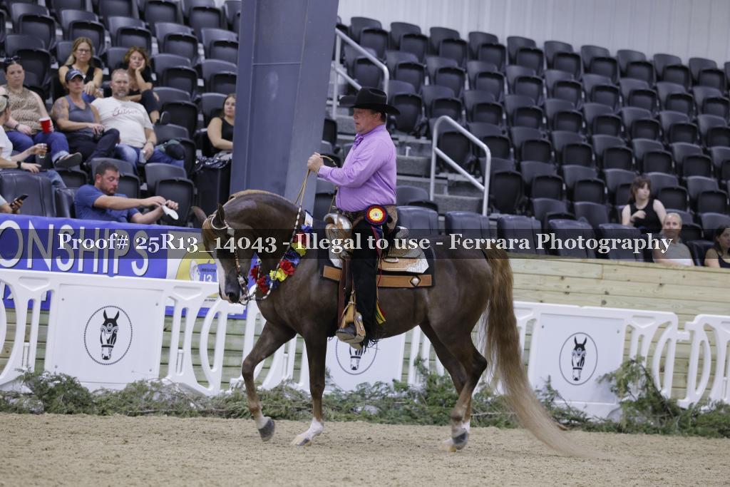 Proof 25R13_14043