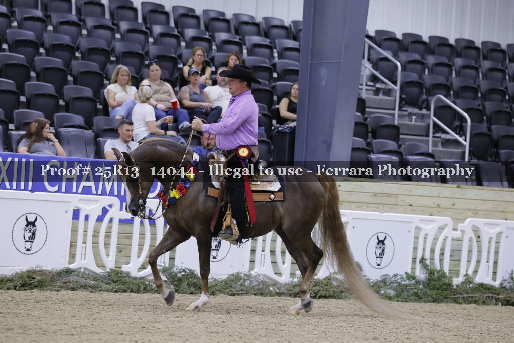Proof 25R13_14044