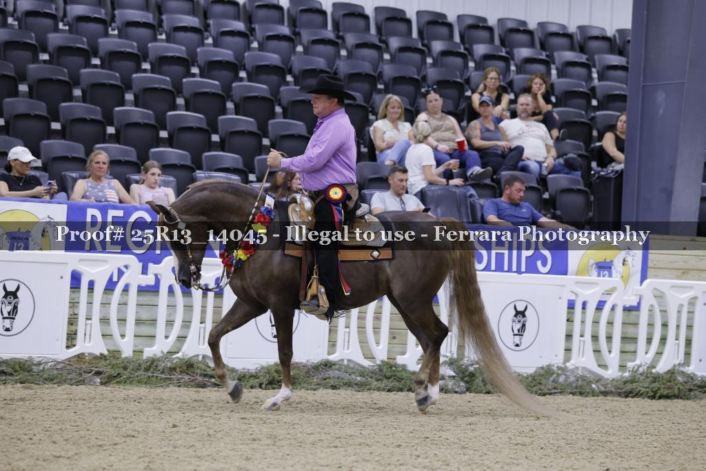Proof 25R13_14045