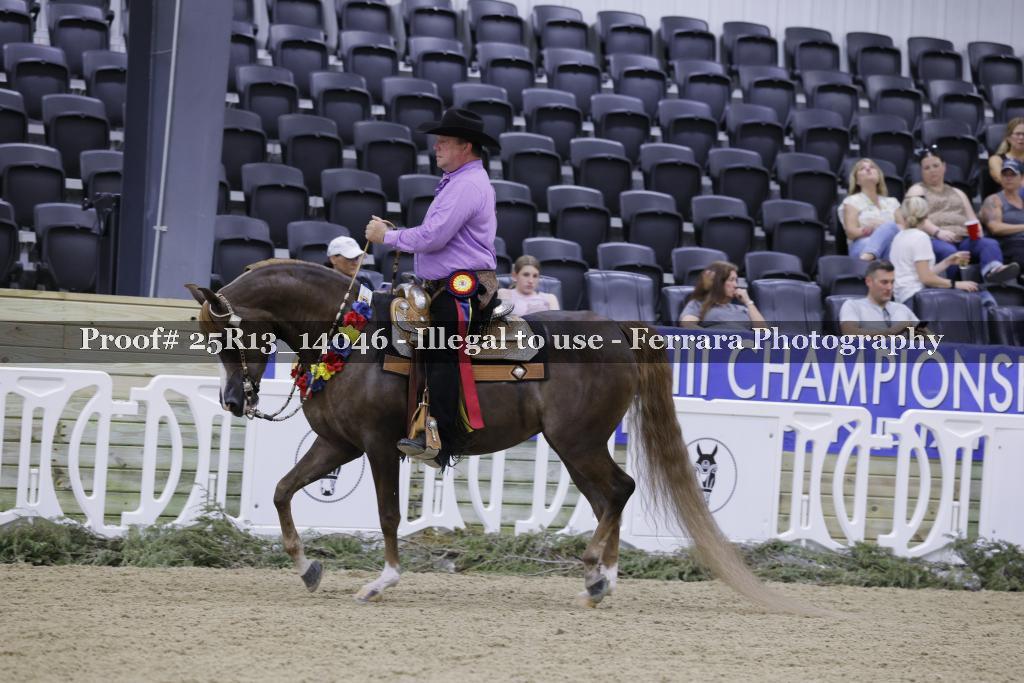 Proof 25R13_14046