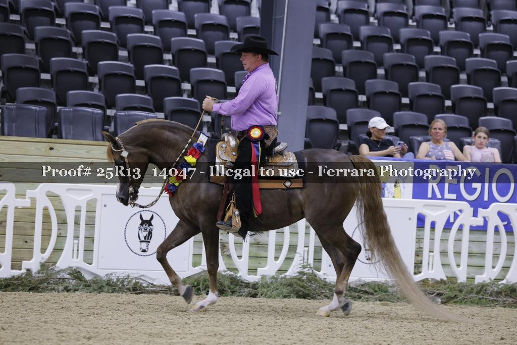Proof 25R13_14047