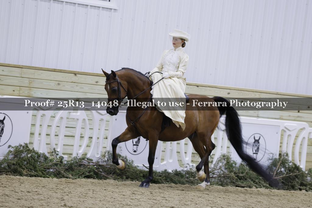 Proof 25R13_14048