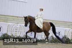 25R13_14048 proof