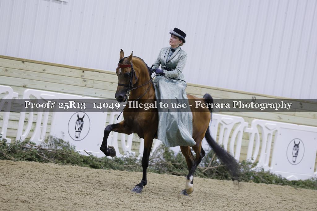 Proof 25R13_14049