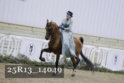 25R13_14049 proof