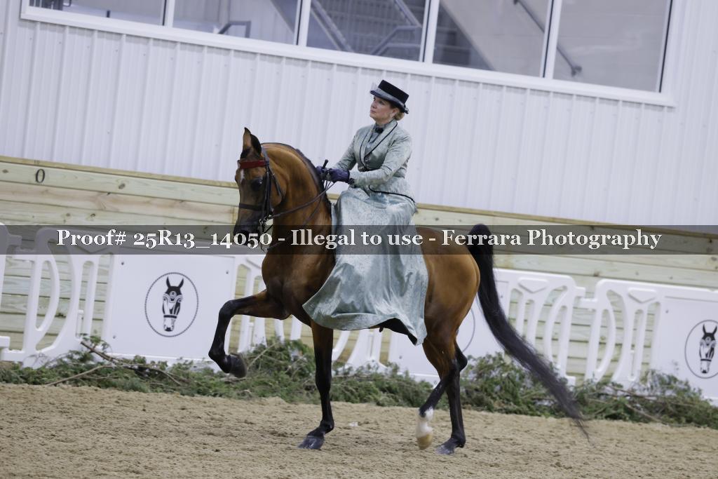 Proof 25R13_14050