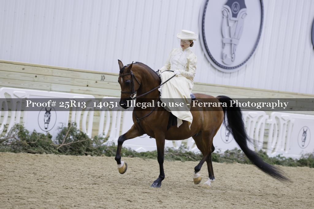 Proof 25R13_14051