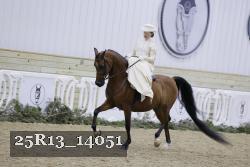 25R13_14051 proof