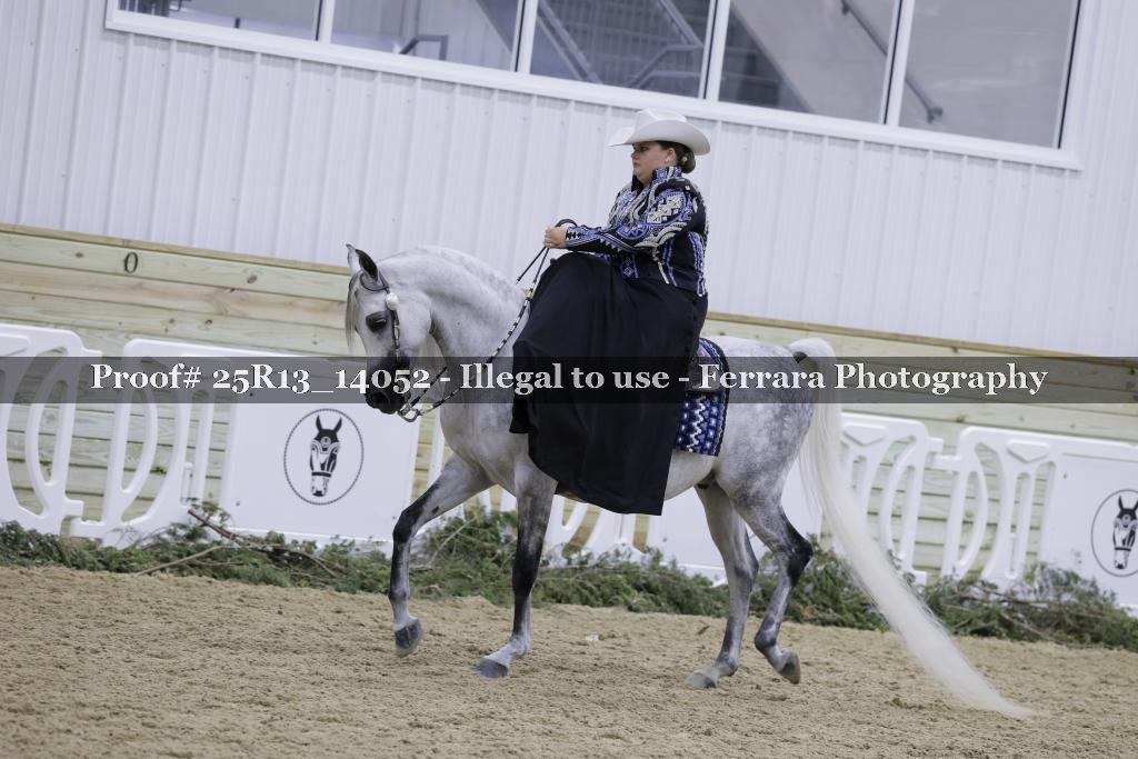 Proof 25R13_14052