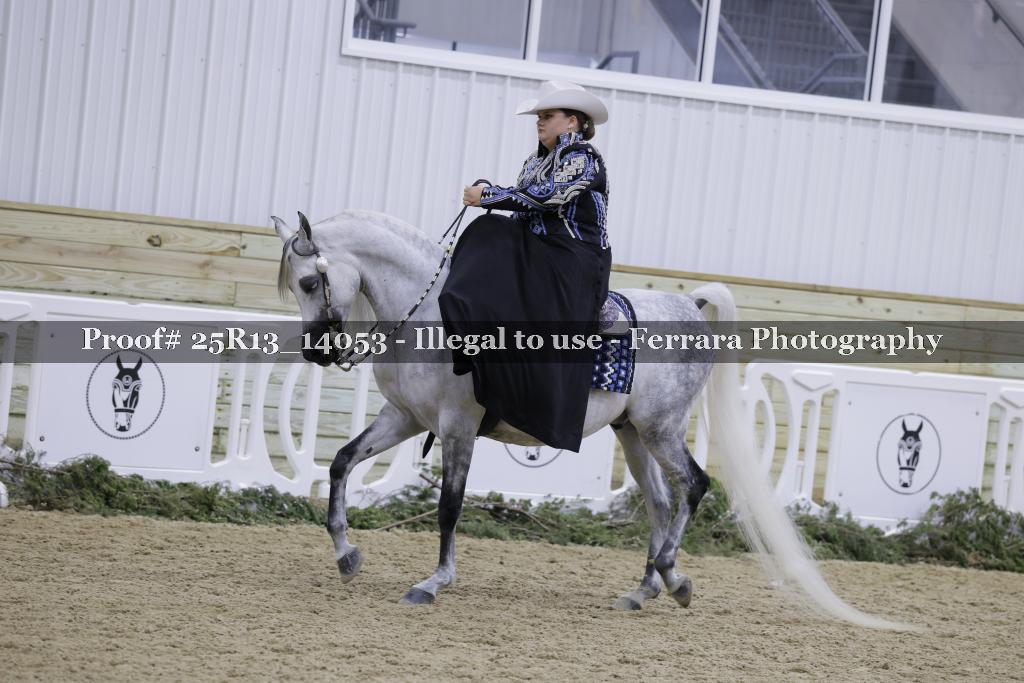 Proof 25R13_14053