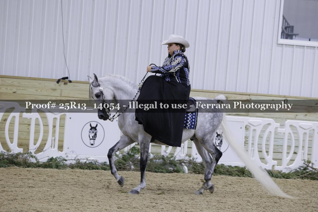 Proof 25R13_14054