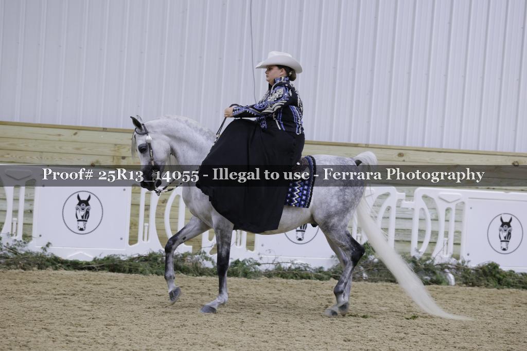 Proof 25R13_14055