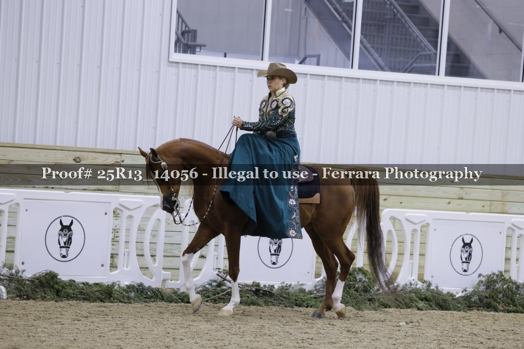 Proof 25R13_14056