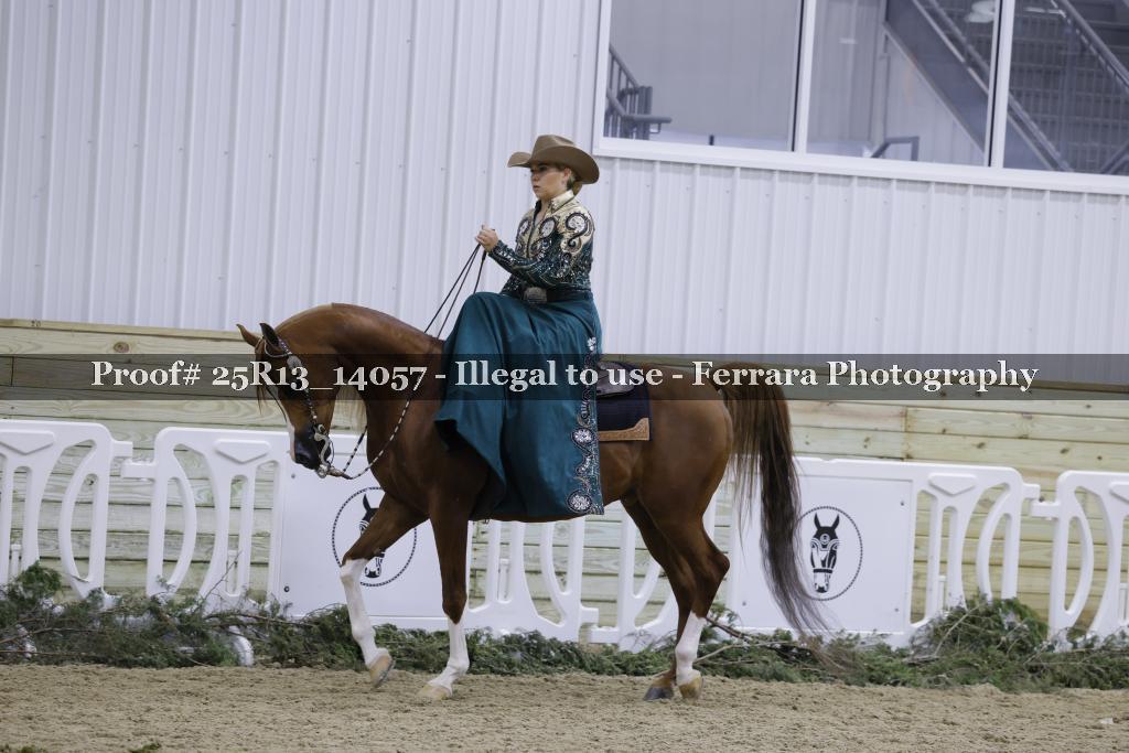 Proof 25R13_14057