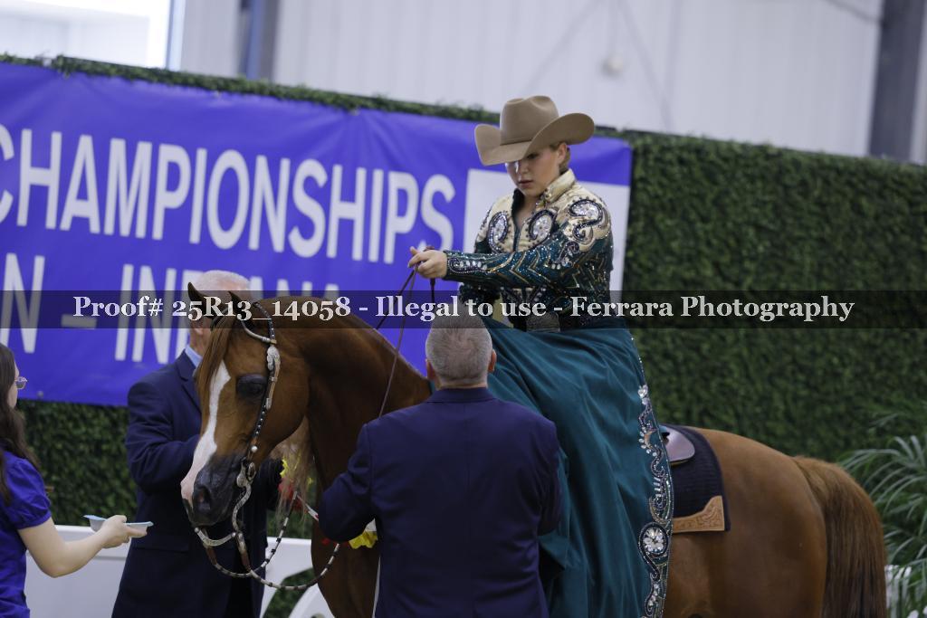 Proof 25R13_14058