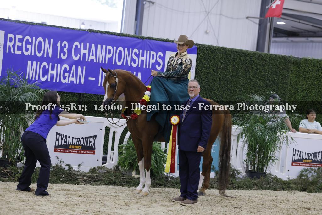 Proof 25R13_14060