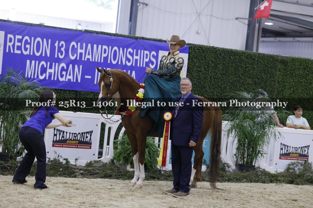 Proof 25R13_14061