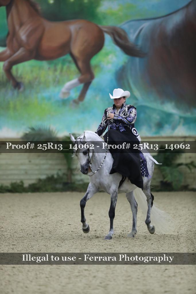 Proof 25R13_14062