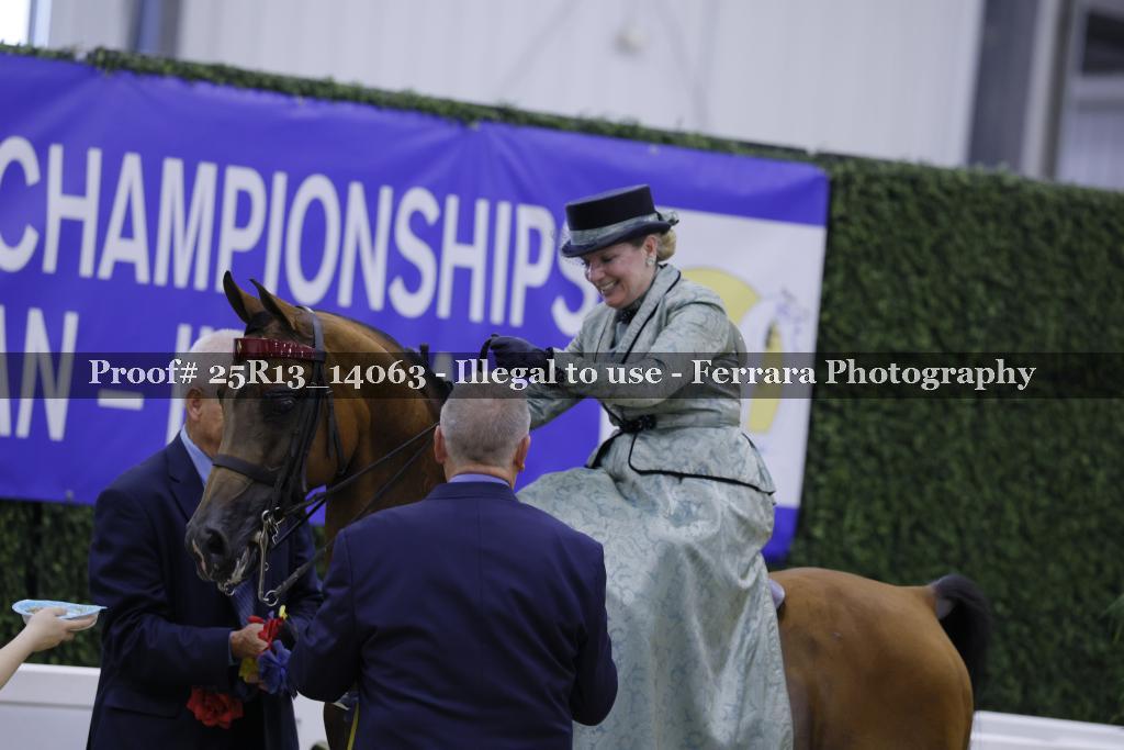 Proof 25R13_14063