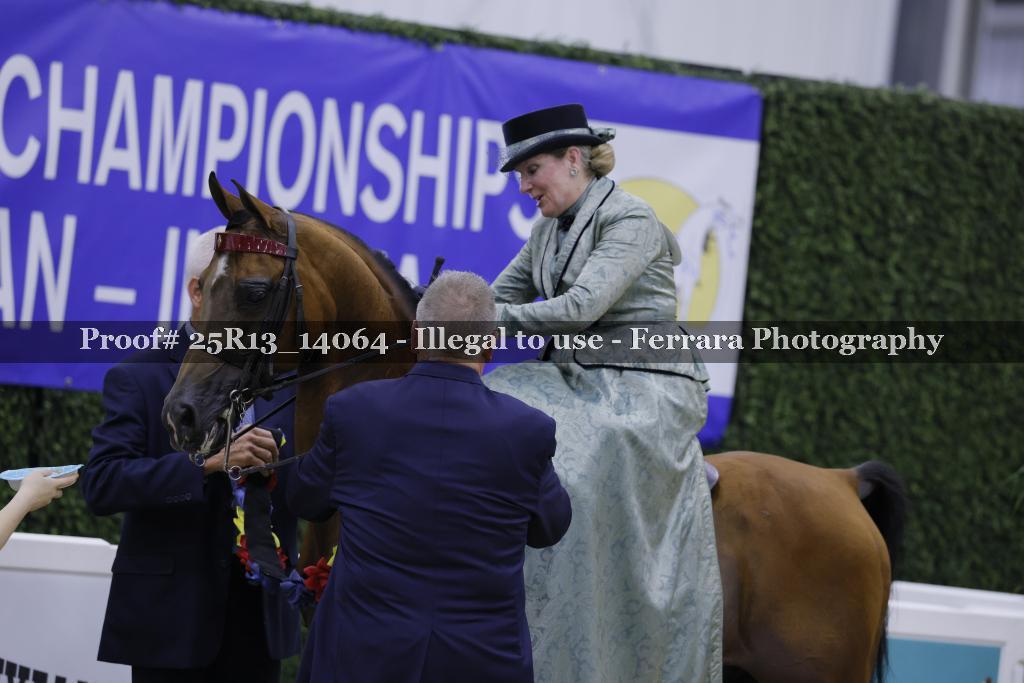 Proof 25R13_14064