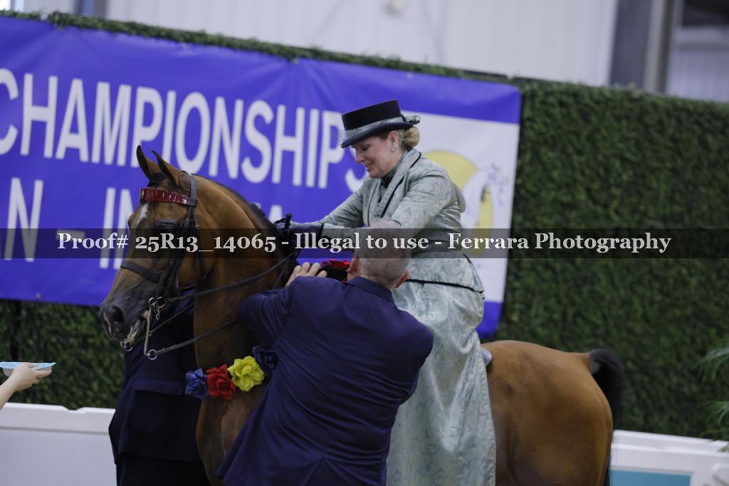 Proof 25R13_14065