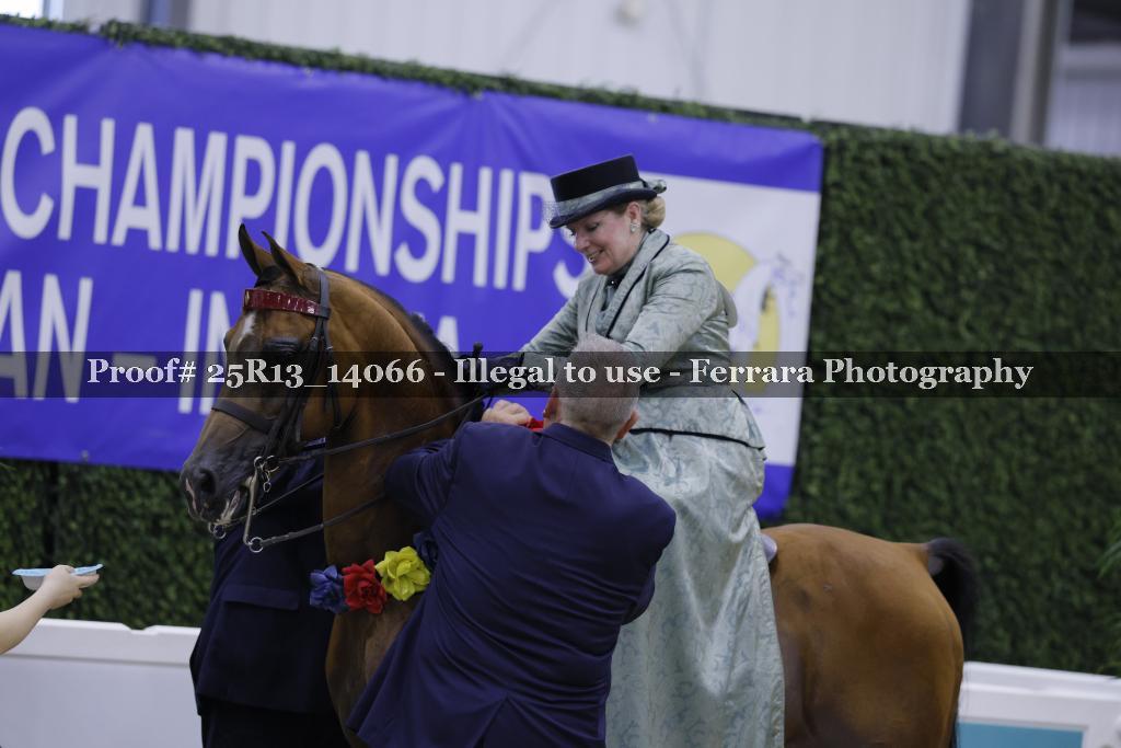 Proof 25R13_14066