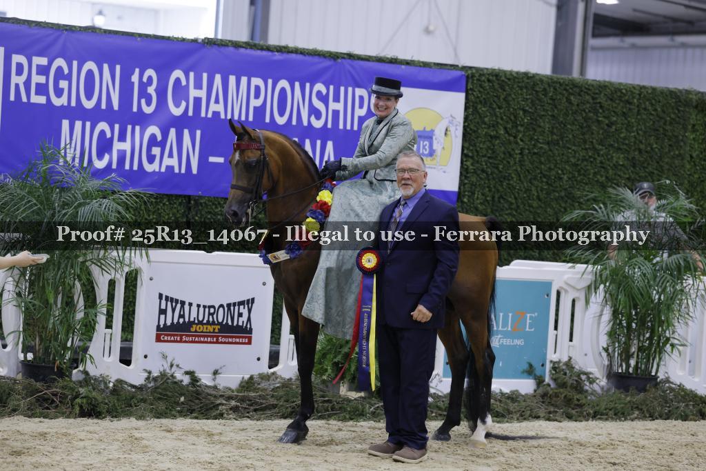 Proof 25R13_14067