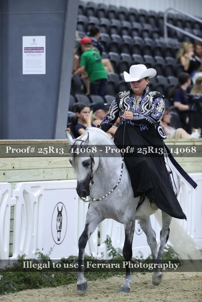 Proof 25R13_14068