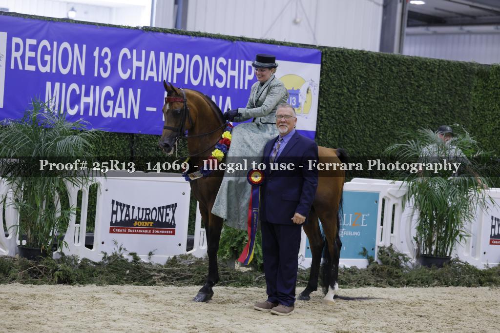 Proof 25R13_14069