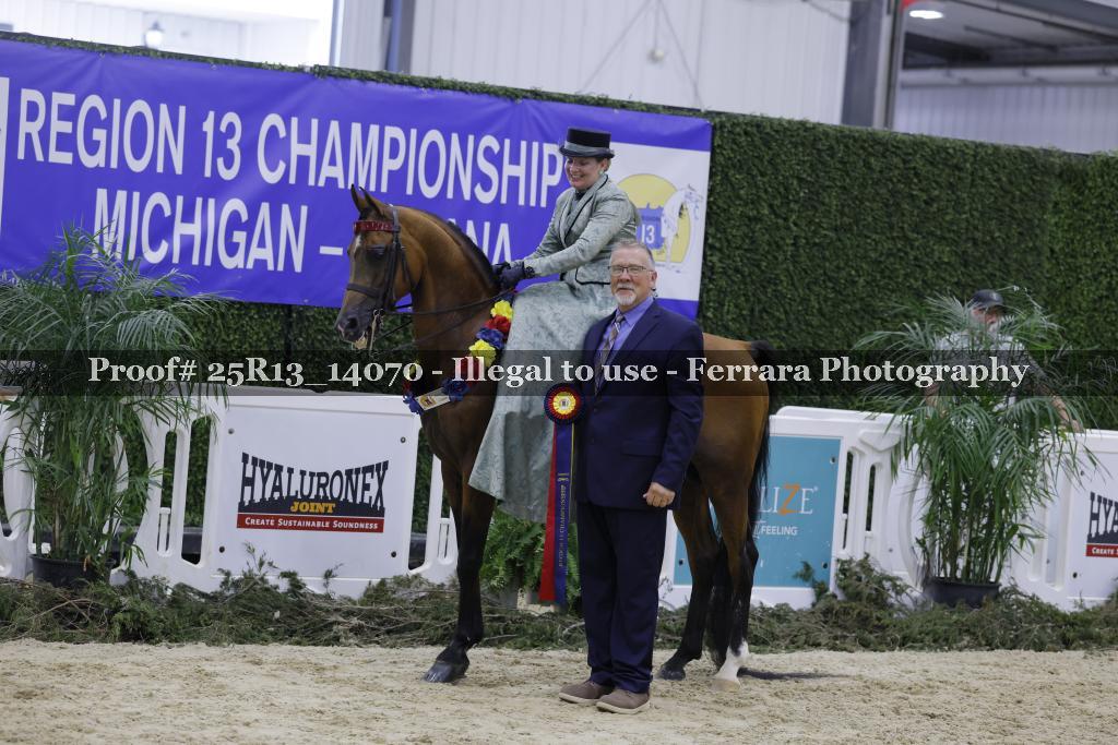 Proof 25R13_14070