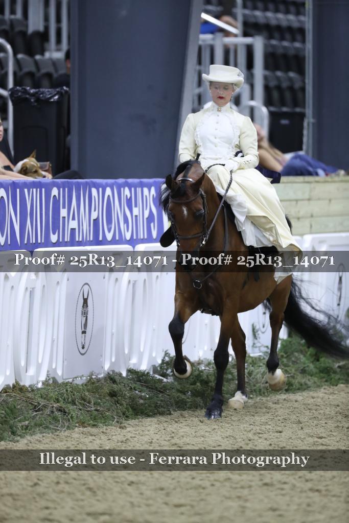 Proof 25R13_14071