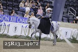 25R13_14072 proof