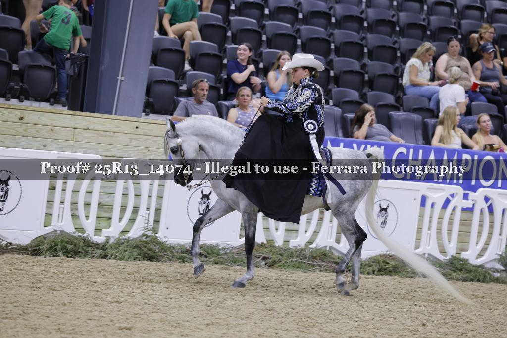 Proof 25R13_14074
