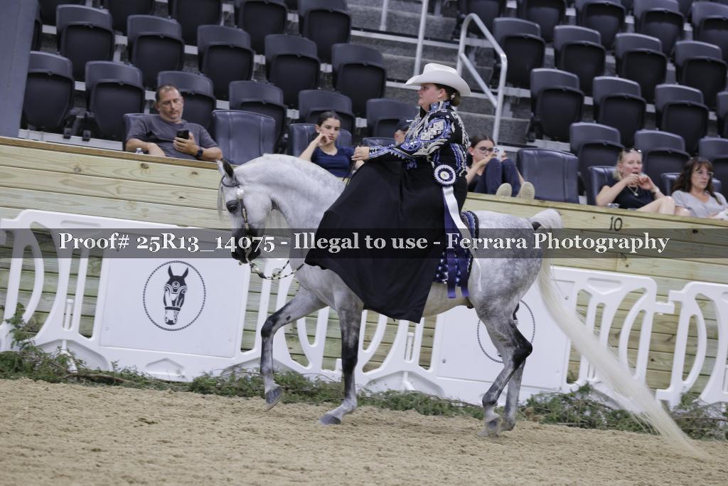 Proof 25R13_14075
