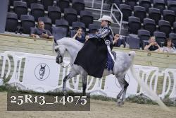 25R13_14075 proof