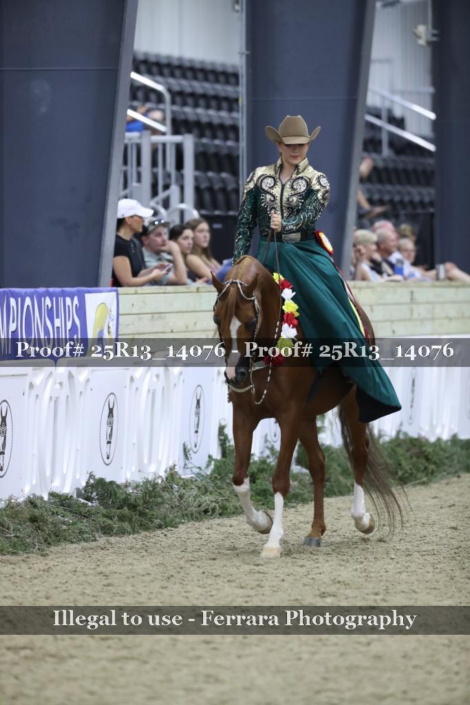 Proof 25R13_14076