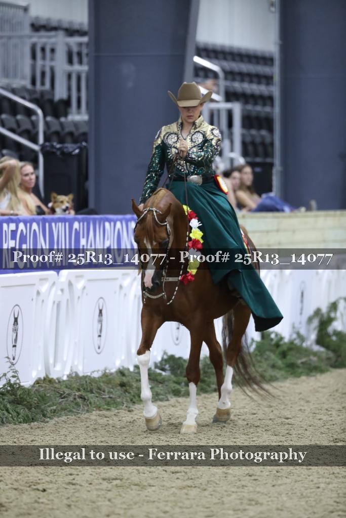Proof 25R13_14077