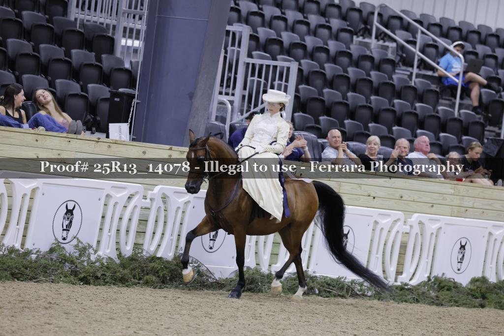 Proof 25R13_14078