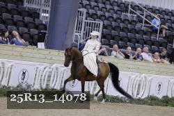 25R13_14078 proof