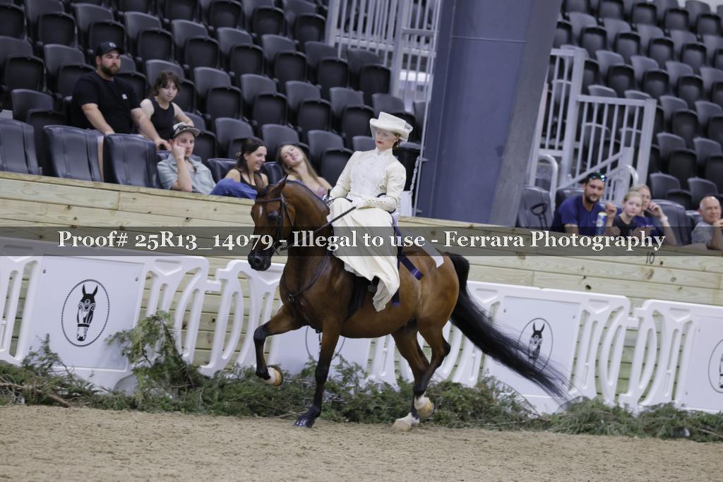 Proof 25R13_14079