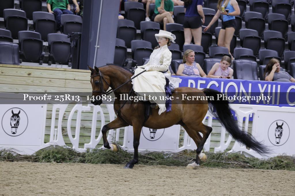Proof 25R13_14083