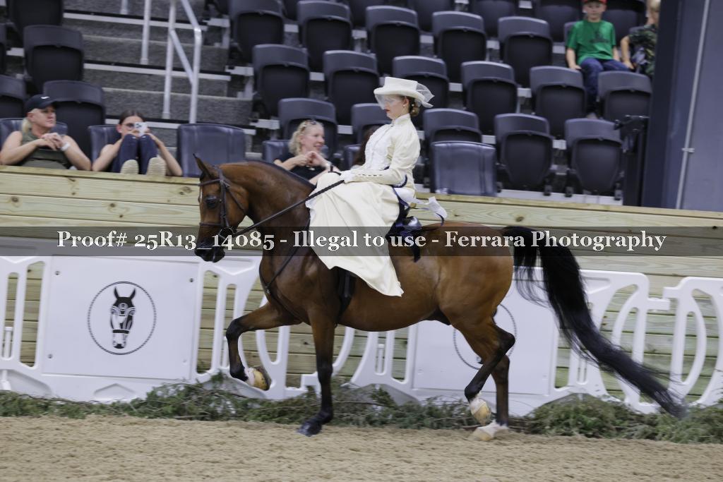 Proof 25R13_14085