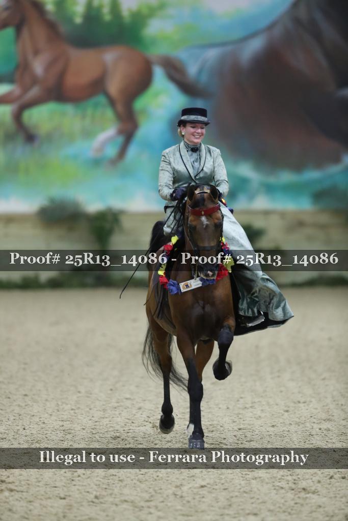 Proof 25R13_14086