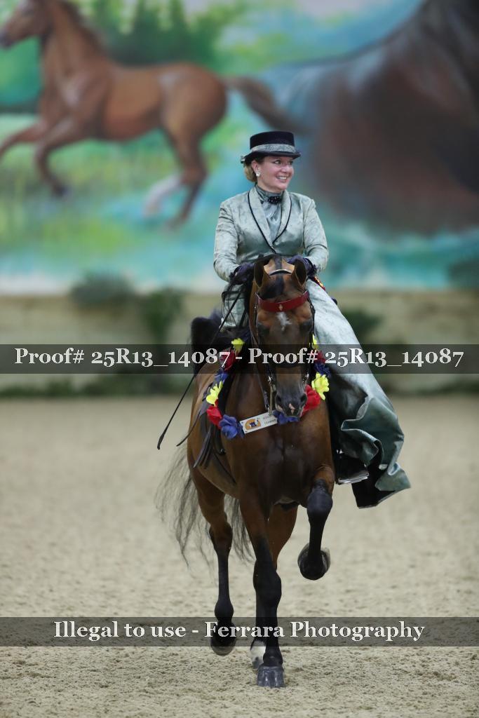 Proof 25R13_14087