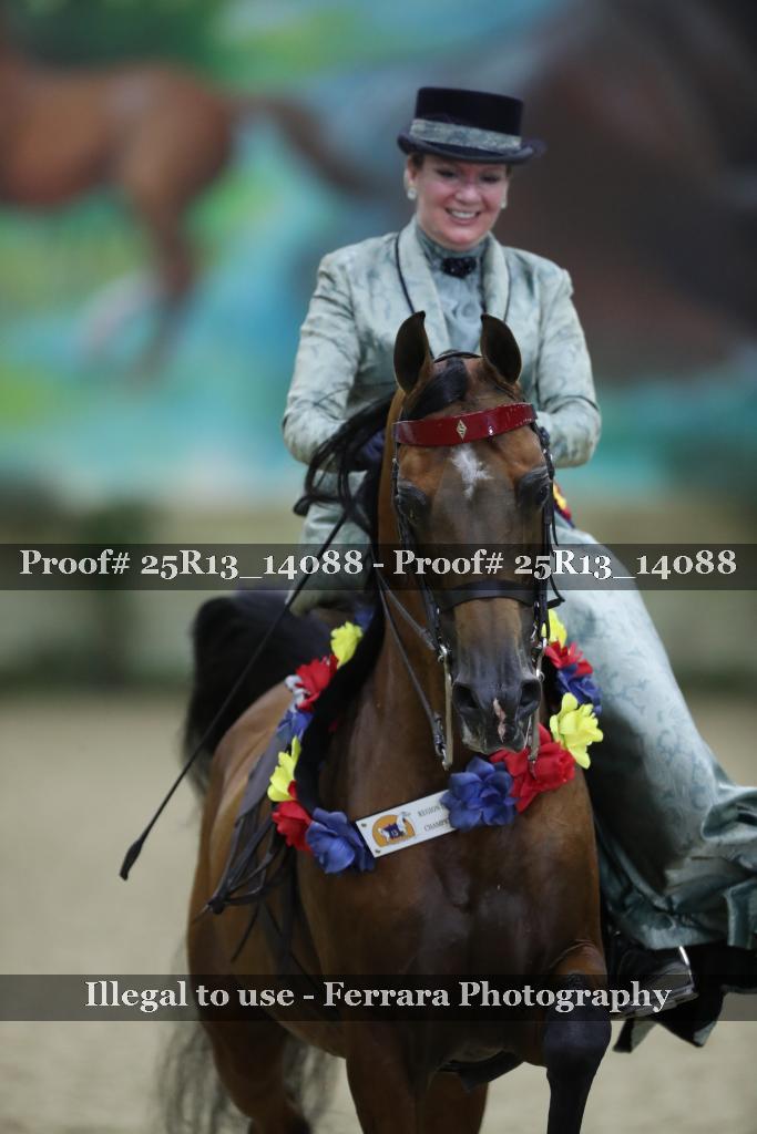 Proof 25R13_14088